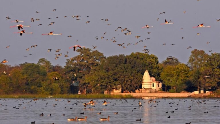 India’s Continuing Environmental Leadership: New Ramsar Wetland Sites and Ecological Progress