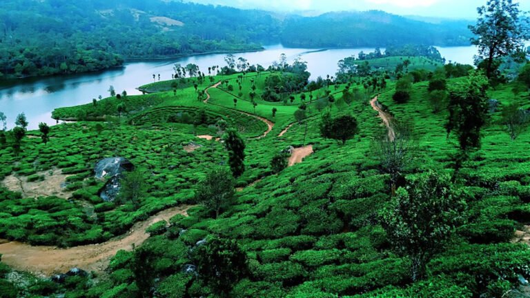 From Kerala to “Keralam” — A New Chapter in Identity, Language and Heritage