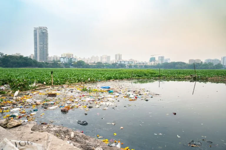 Mumbai’s Fight Against Ocean Plastic: Barriers to Stop Waste Flowing into the Arabian Sea